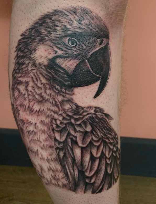 112 Best Parrot Tattoo Designs & Meaning Tattoo Twist