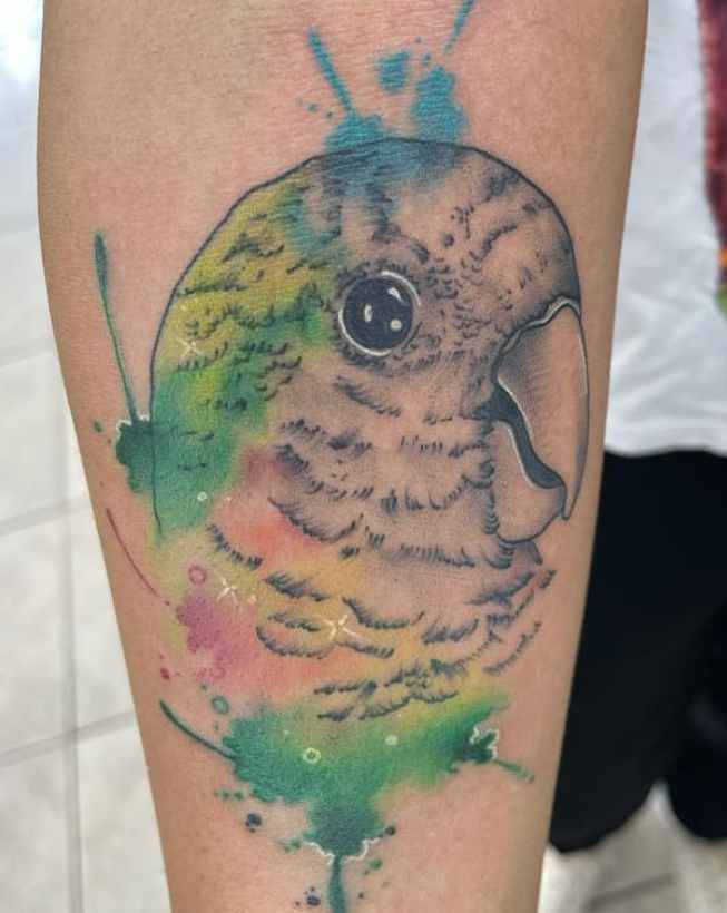 112 Best Parrot Tattoo Designs & Meaning Tattoo Twist