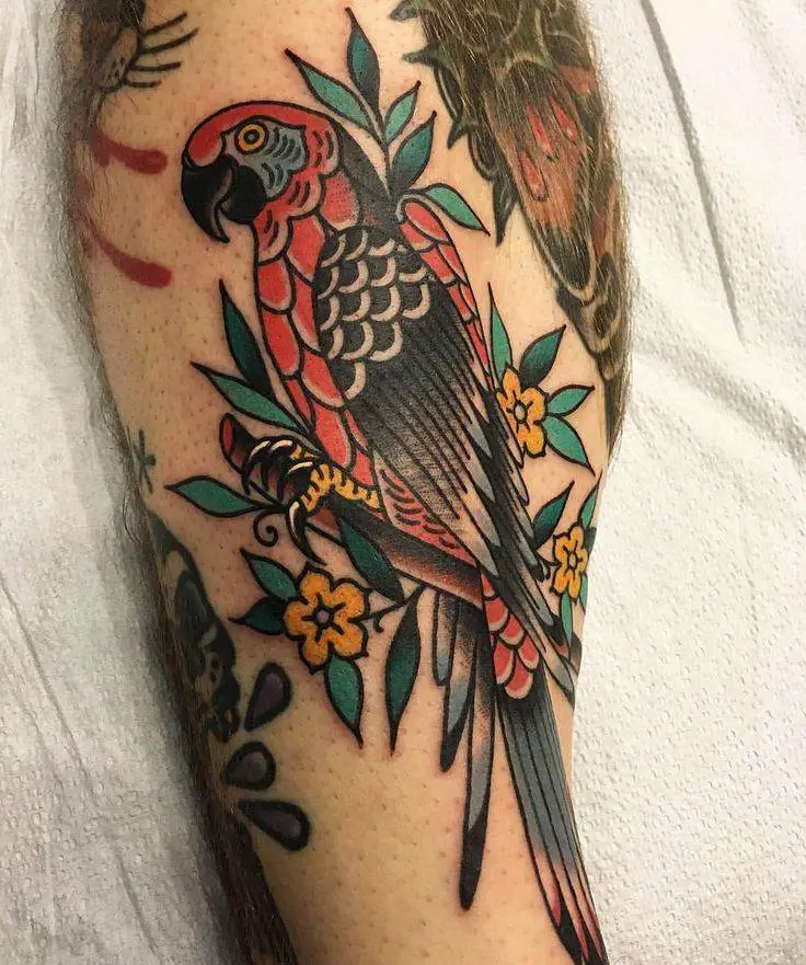 112 Best Parrot Tattoo Designs & Meaning Tattoo Twist